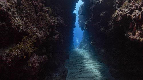 Protecting Paradise: The Story of Niue