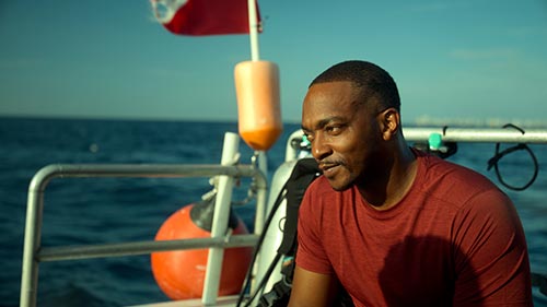 Shark Beach with Anthony Mackie: Gulf Coast