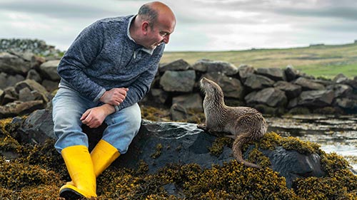 Billy & Molly: An Otter Love Story