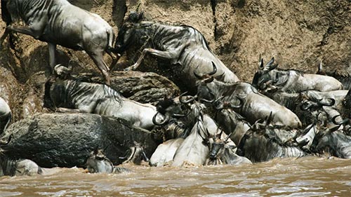 Africa's Blood River