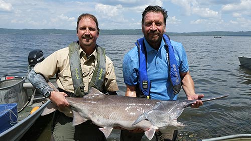 Big Adventures: Into the Mississippi with Nick Knowles