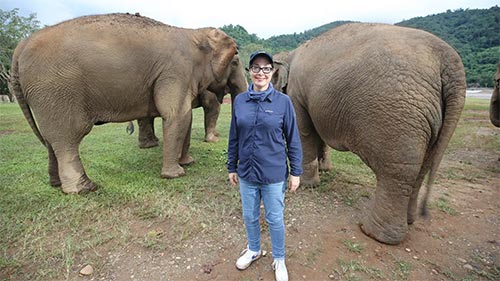 Big Adventures: Into Thailand with Sue Perkins